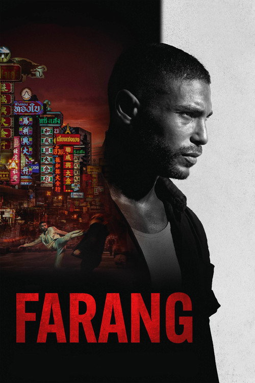 پوستر فیلم آشوب