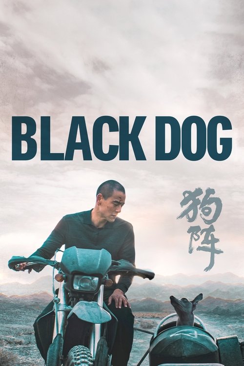 پوستر فیلم سگ سیاه