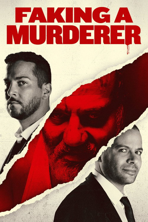پوستر فیلم جعل یک قاتل