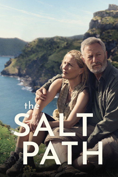 پوستر فیلم مسیر نمک