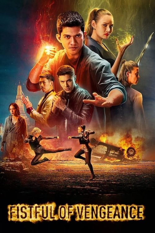 پوستر فیلم یک مشت انتقام