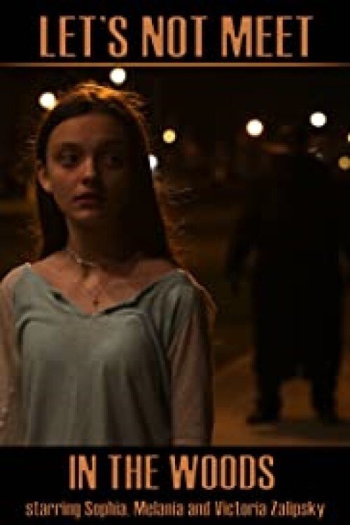 پوستر فیلم بیا در جنگل ملاقات نکنیم
