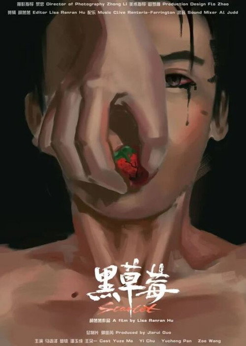 پوستر فیلم پرواز | سرخ‌فام