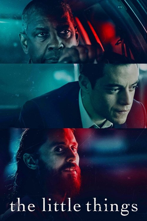 پوستر فیلم موارد جزئی