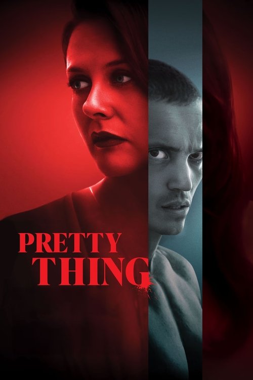 پوستر فیلم مشکل زیبا