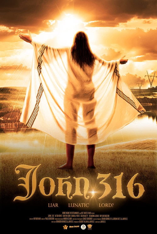 پوستر فیلم جان ۳۱۶
