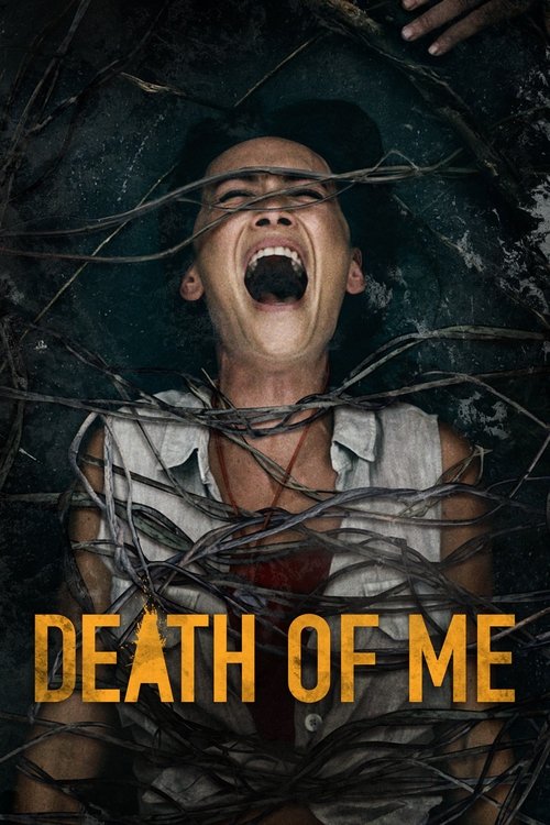 پوستر فیلم مرگ من