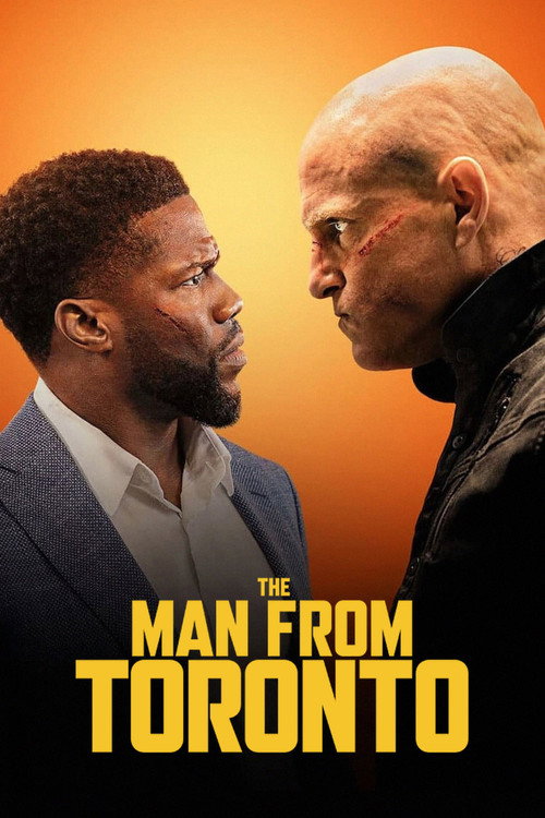 پوستر فیلم مردی از تورنتو