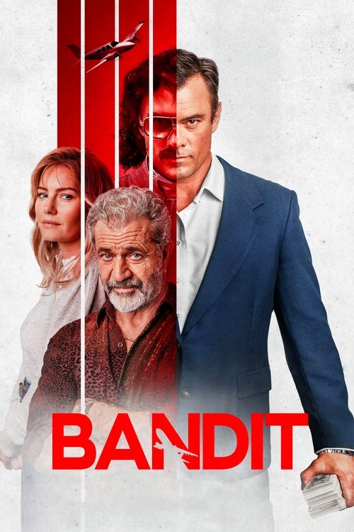 پوستر فیلم راهزن