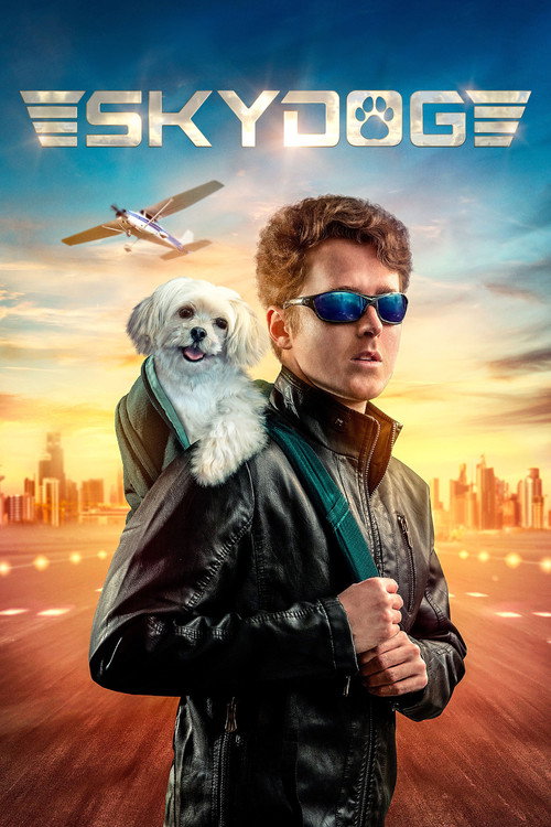 پوستر فیلم خلبان