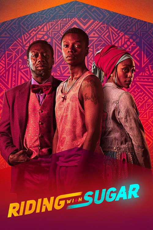 پوستر فیلم سواری لذت‌بخش