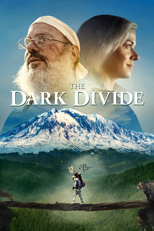 پوستر فیلم شکاف تاریک