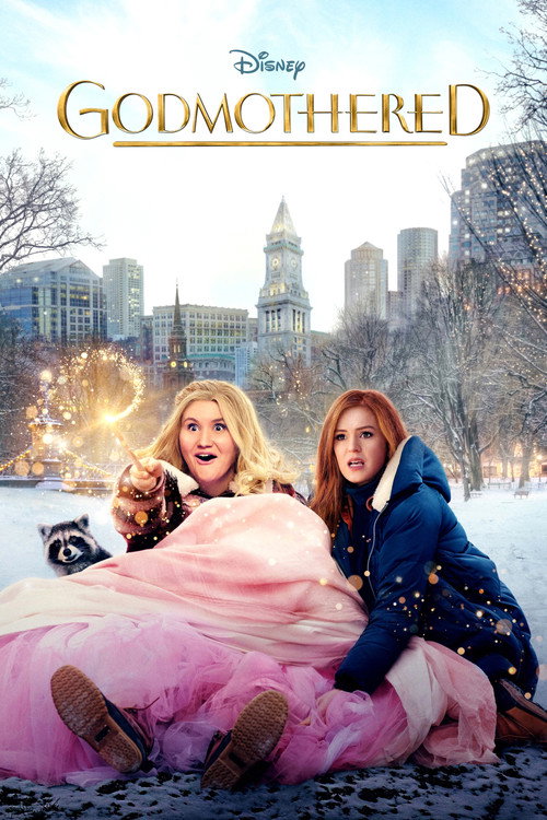 پوستر فیلم مادرخوانده