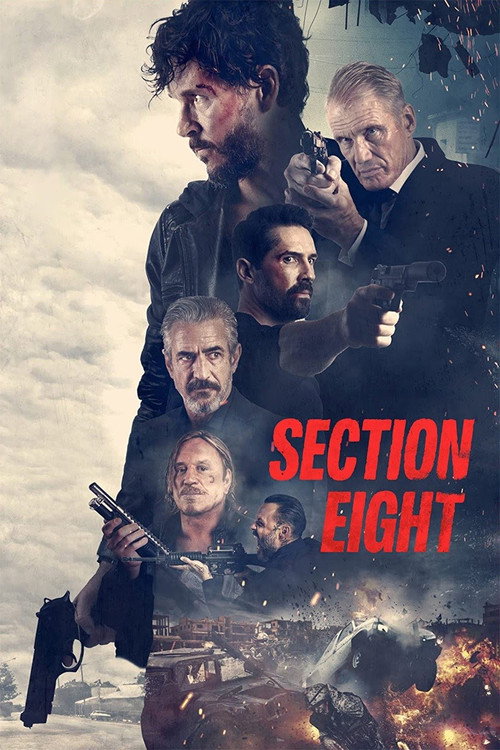 پوستر فیلم بخش هشتم